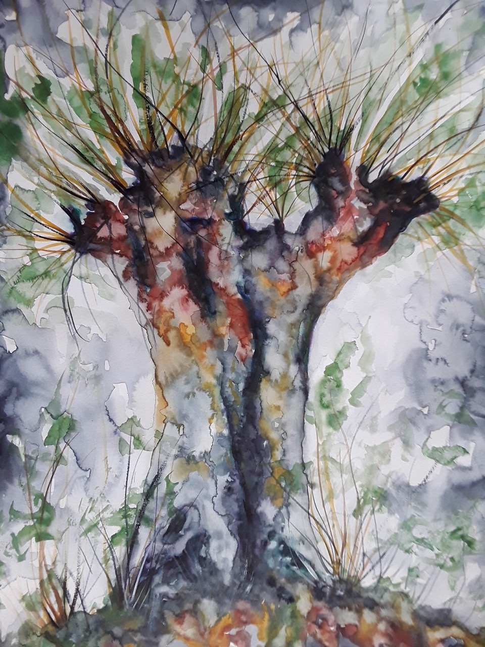 3